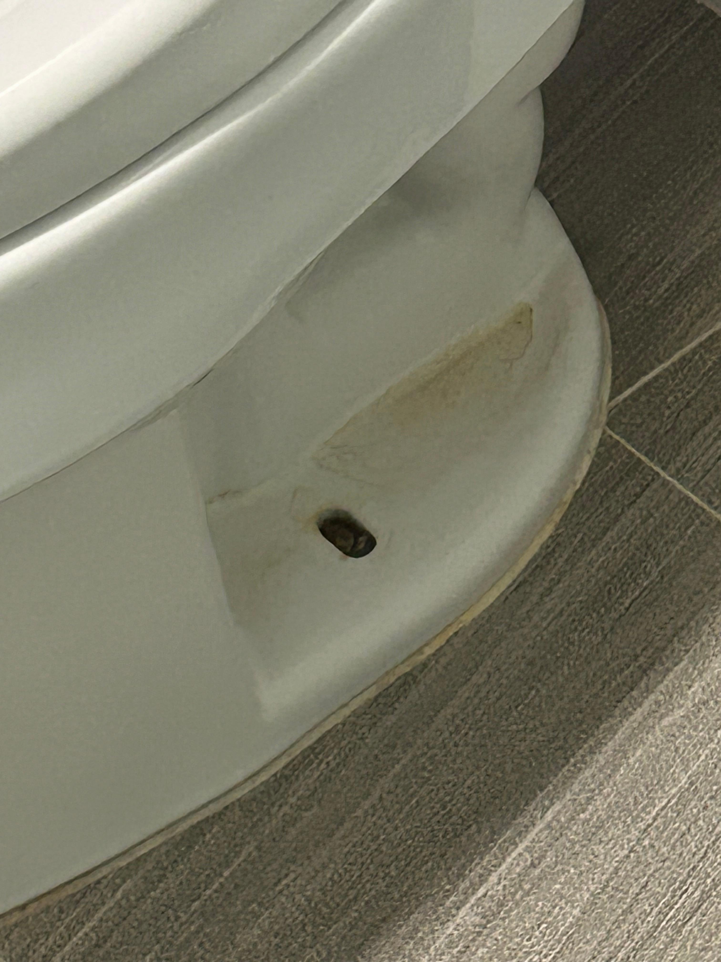 Dirty toilet, old urine