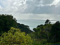 View from the lounge room of the cottage