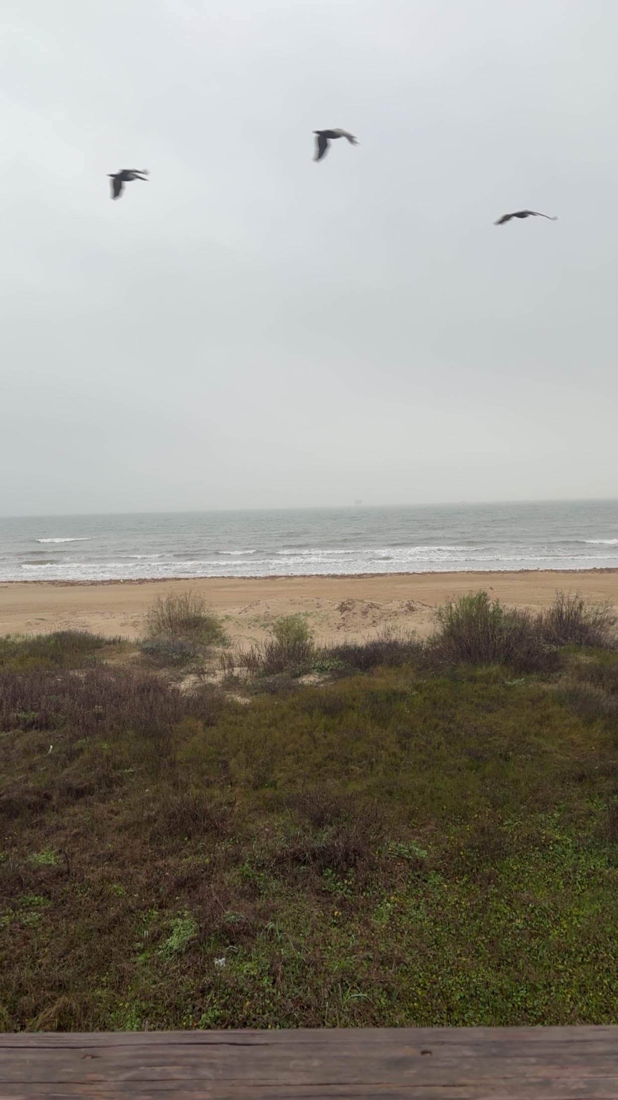 Morning coffee view. 