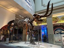 Smithsonian