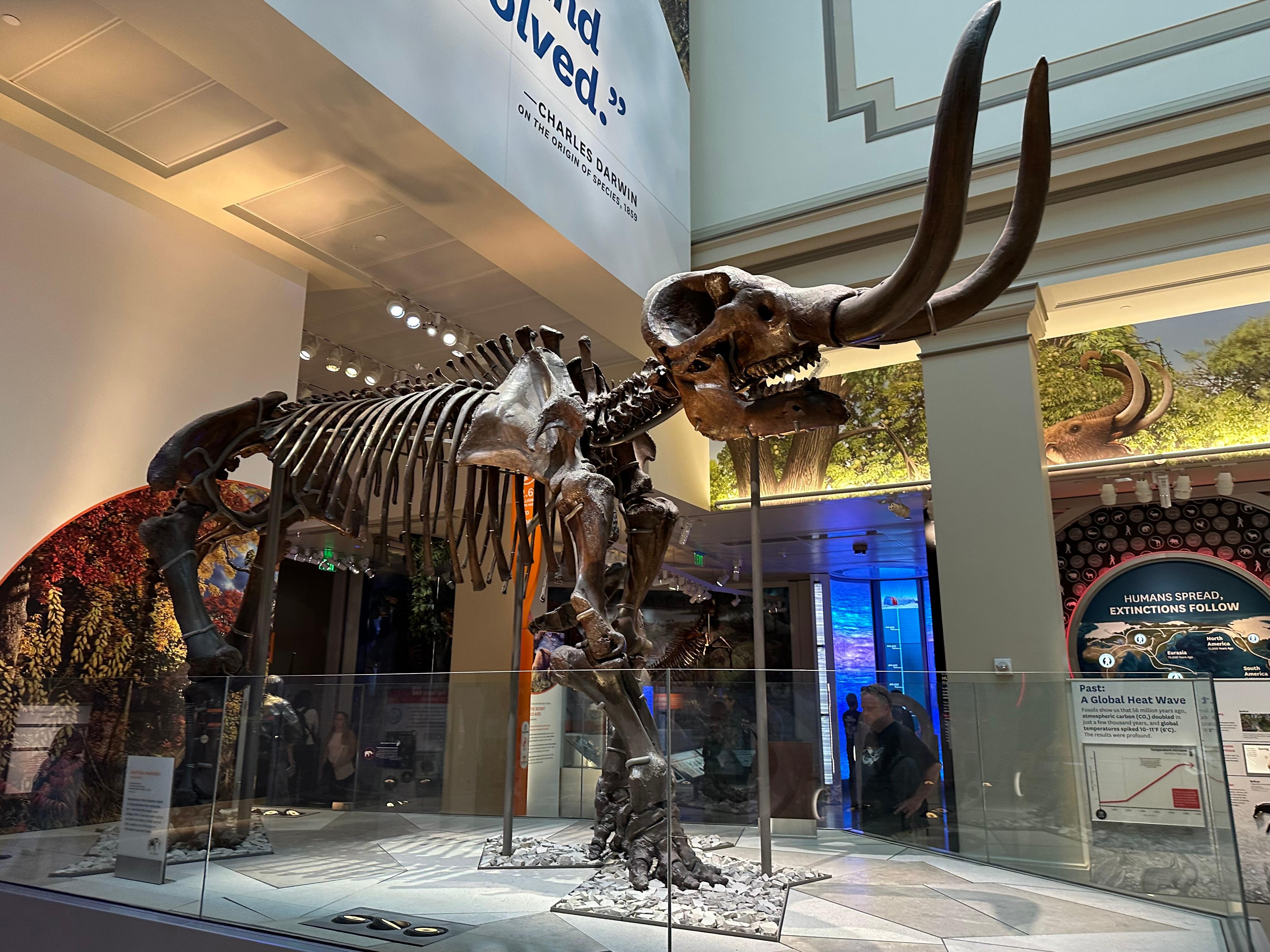 Smithsonian 