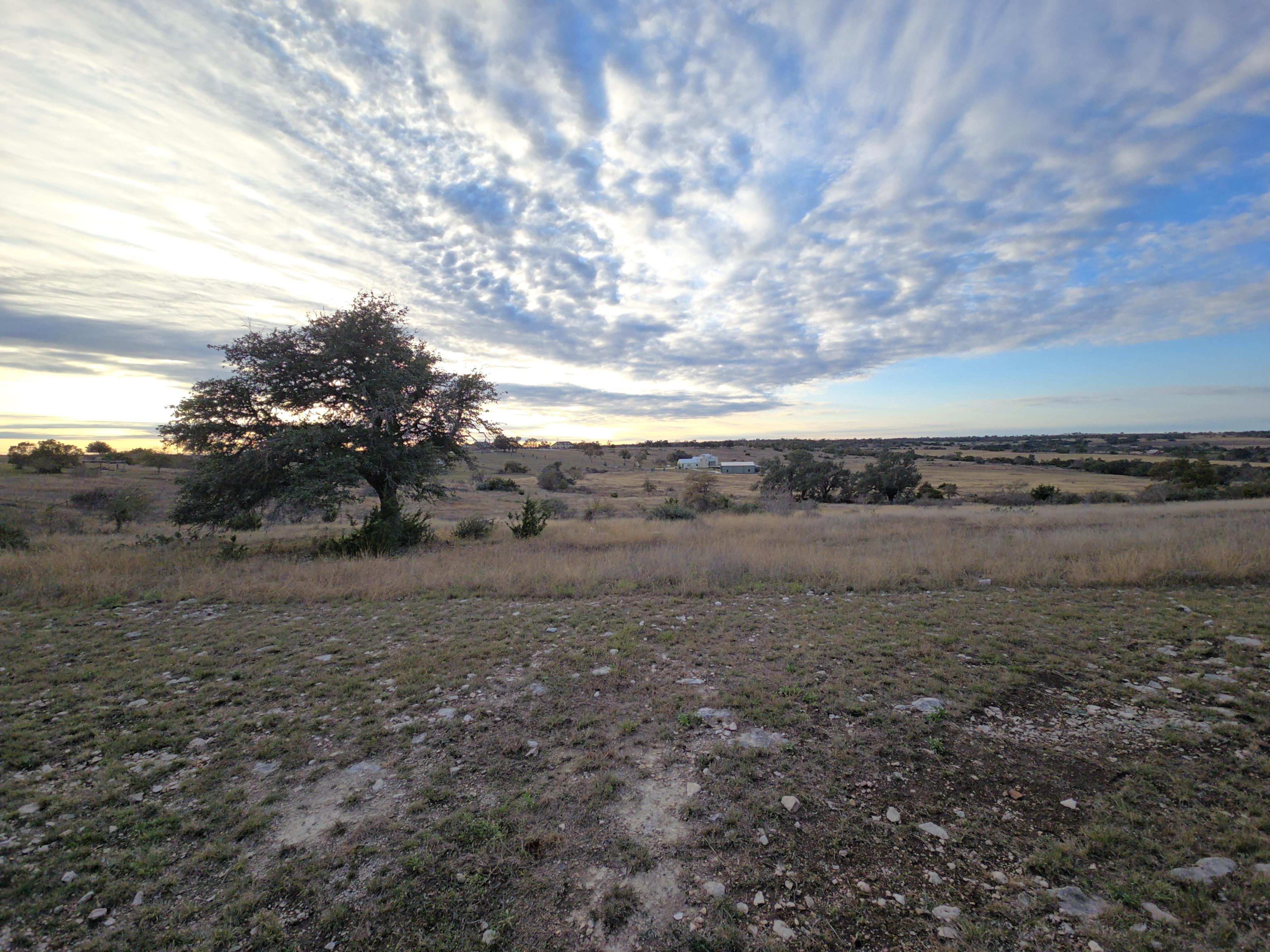 View of the 'back yard'.