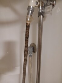 Mold on shower head