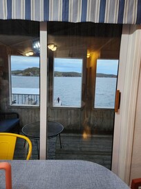 View from the dining table