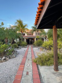 The garden.