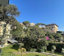 View from the room