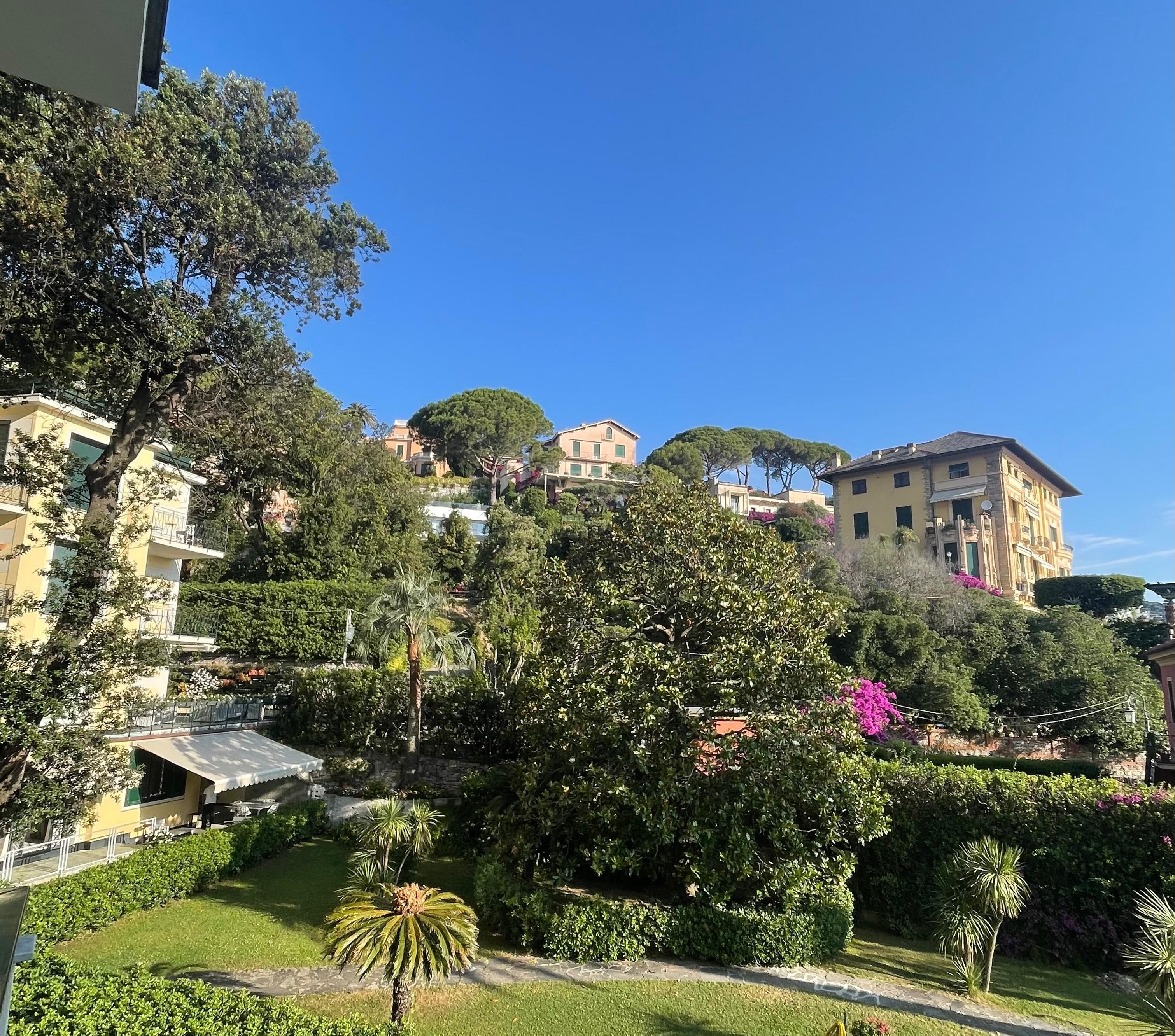 View from the room
