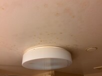 Mold