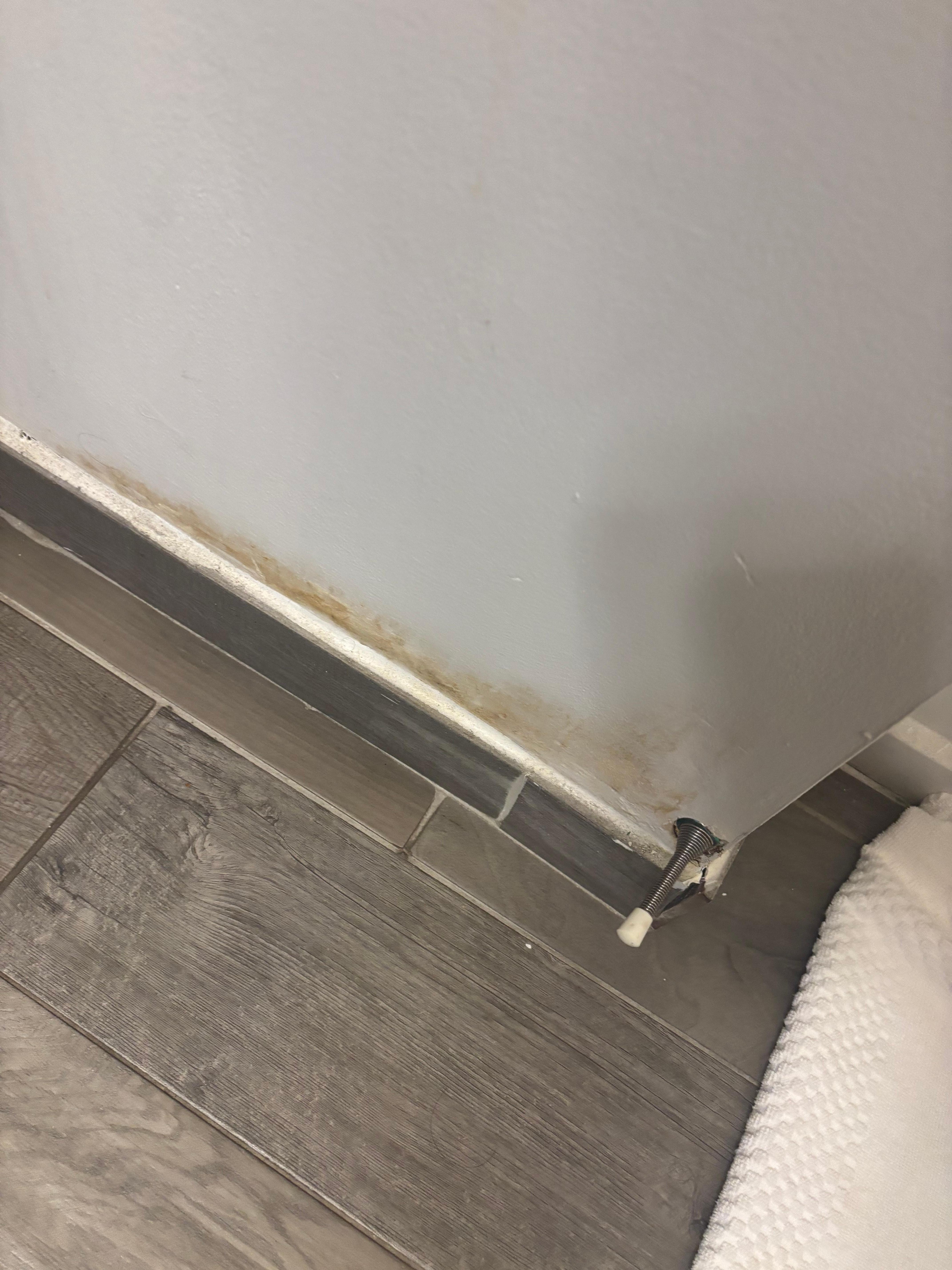 Moisture damage in bathroom
