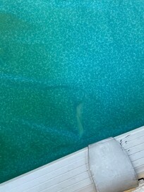 The pool that was believed to be in working order by host