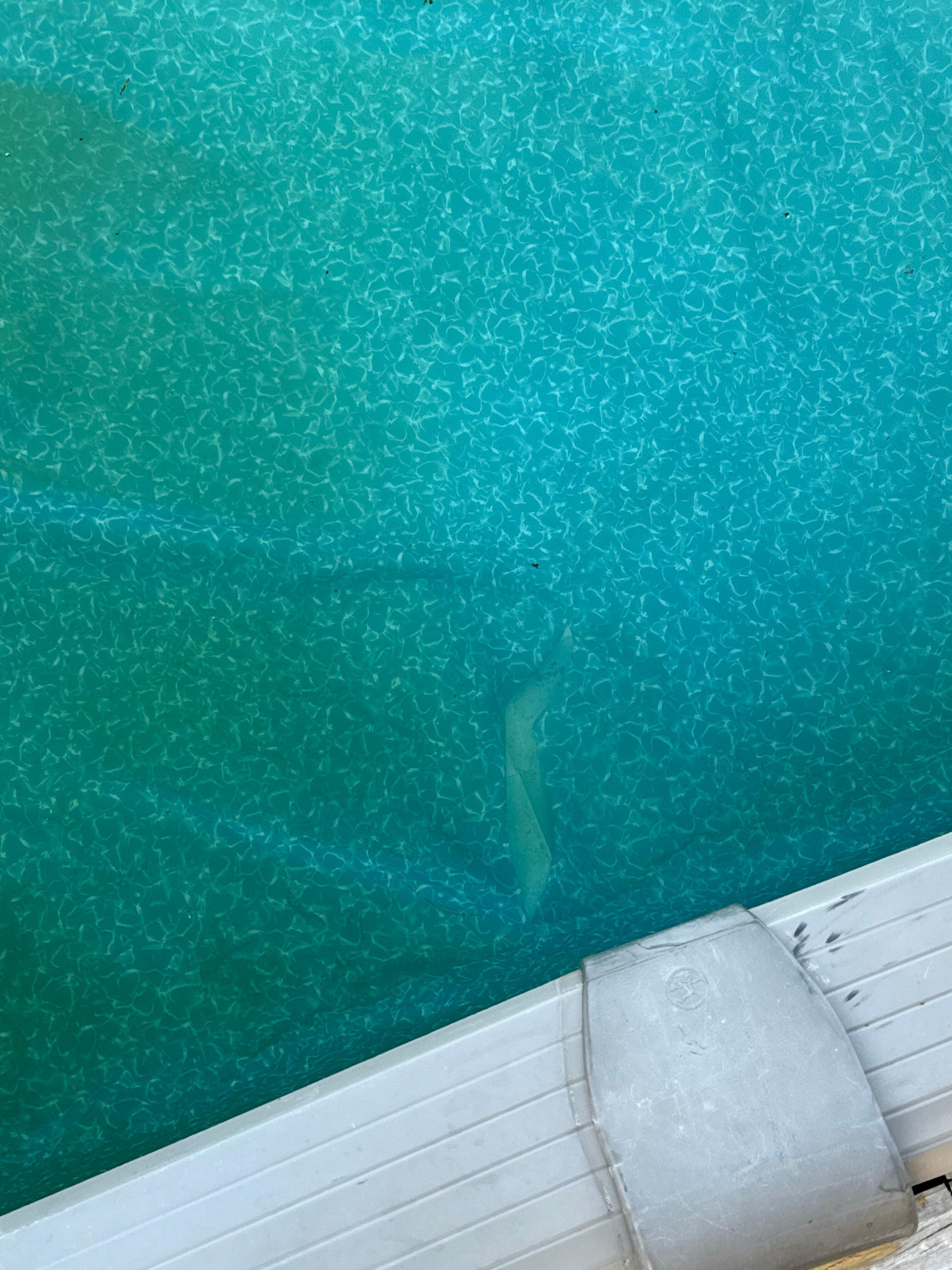 The pool that was believed to be in working order by host 