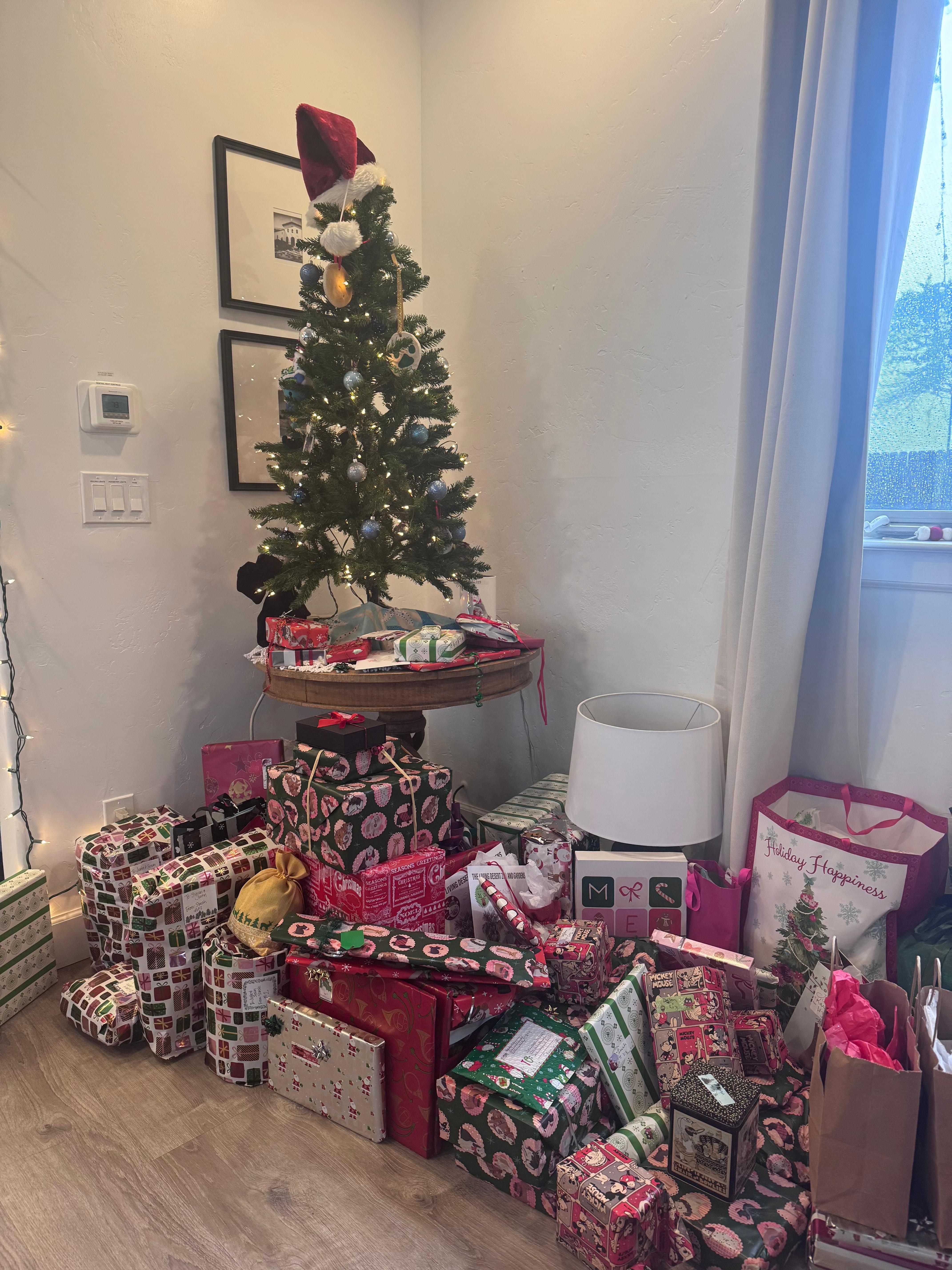 We brought Christmas with us