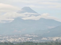 Vista
