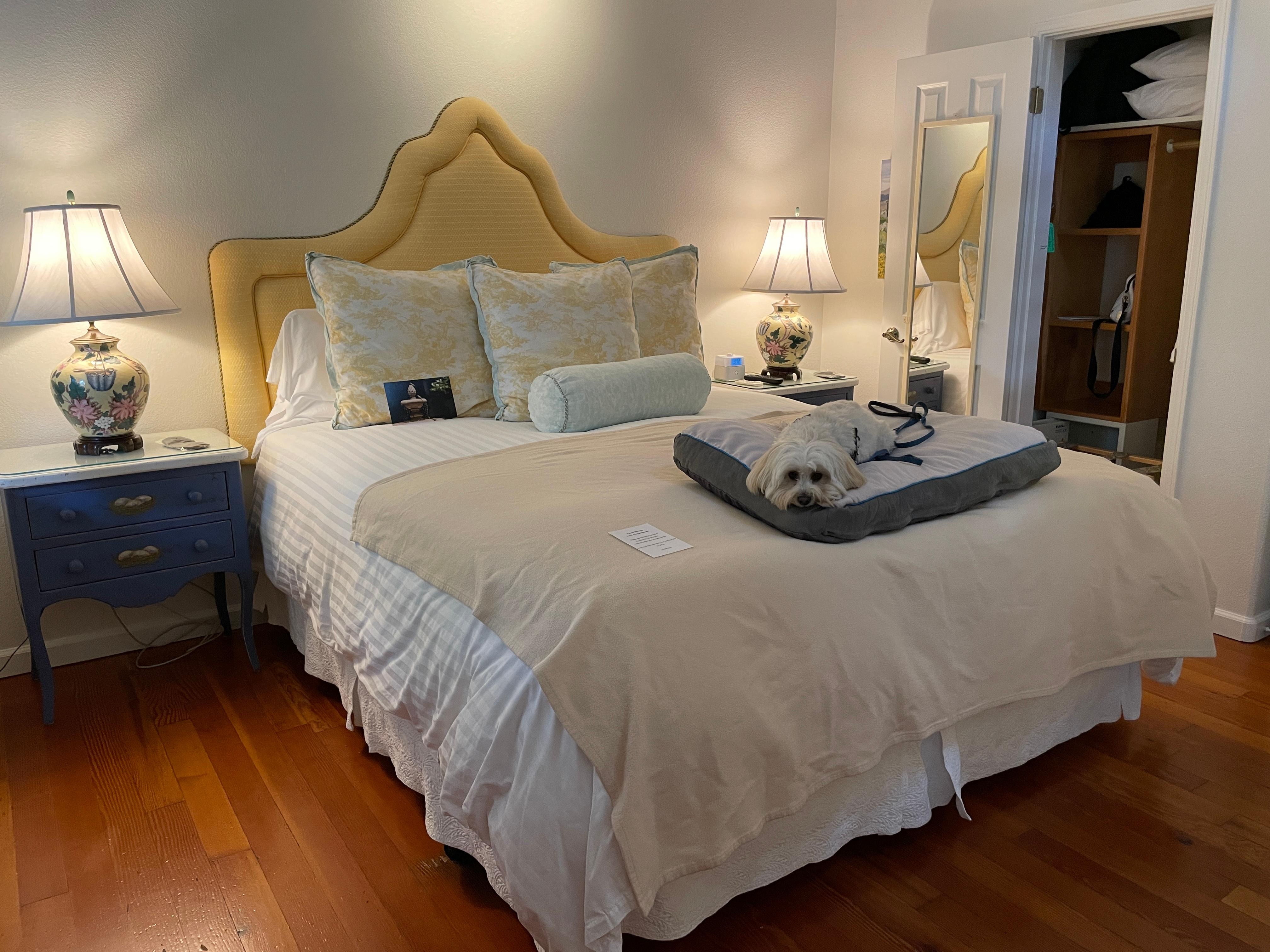 Our dog was quick to jump in to his bed provided by  the cottages. He loved it all!!