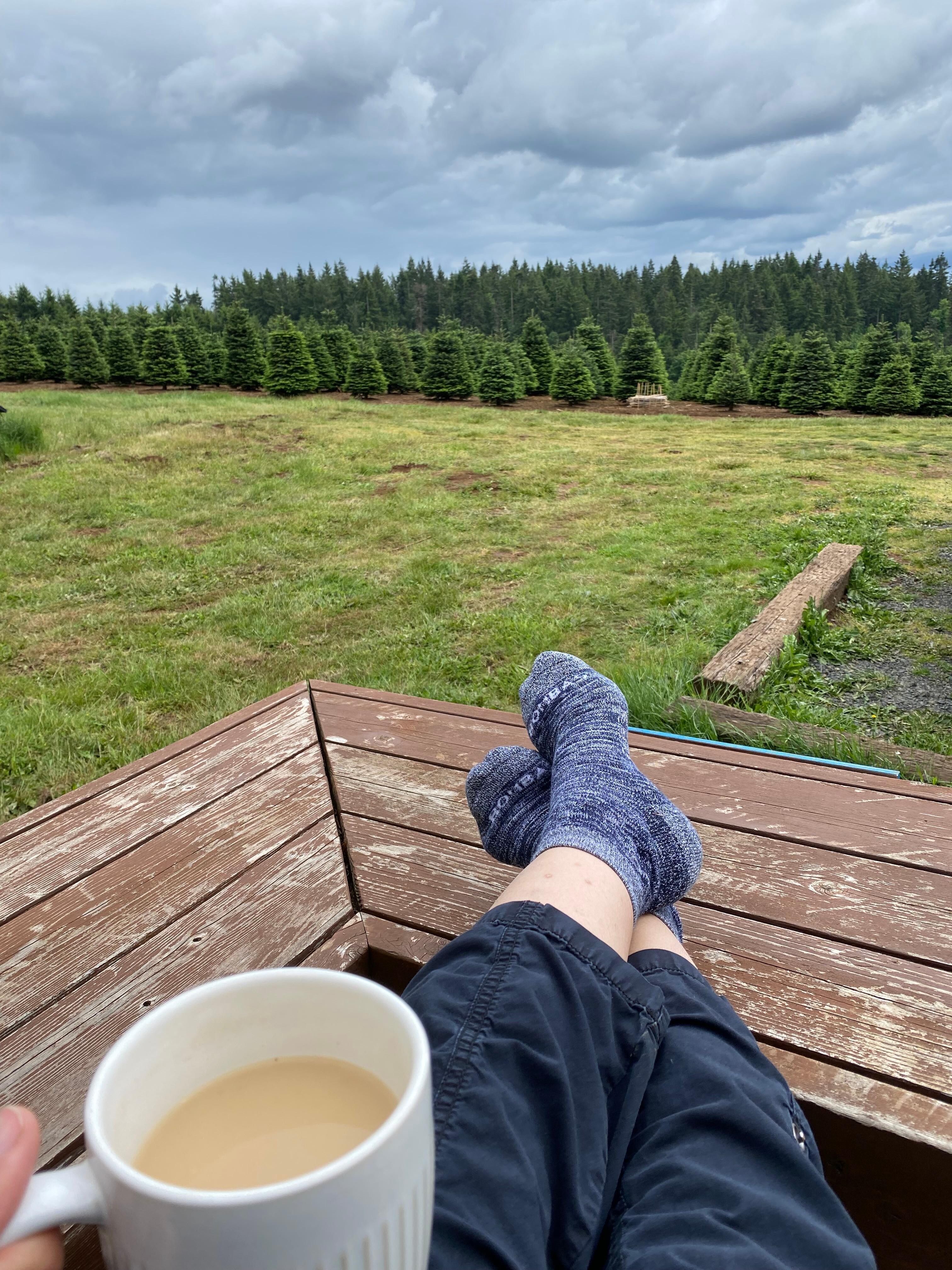 View from porch. 
