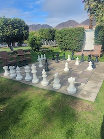 Life sized chess board