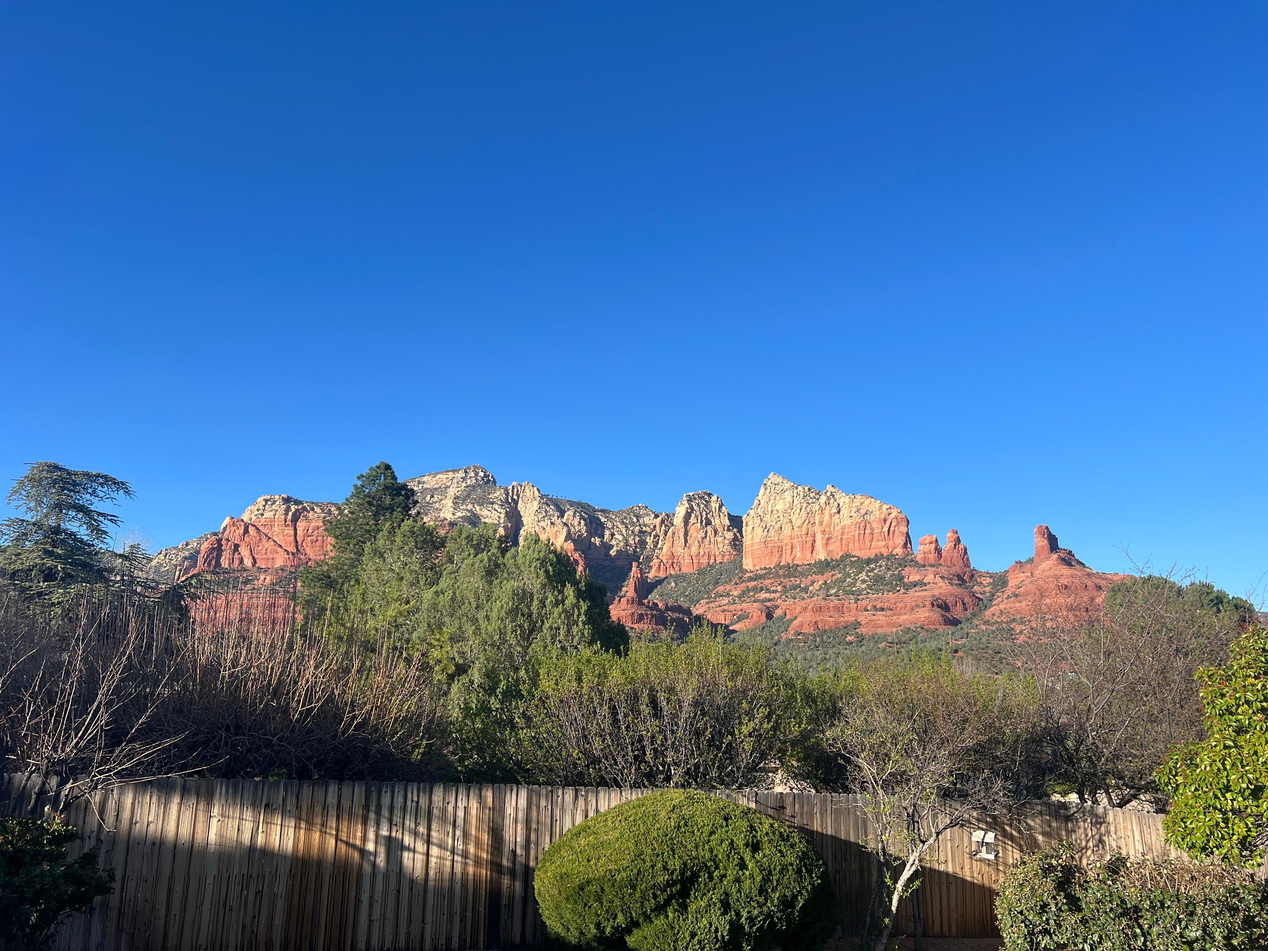 View from the backyard.