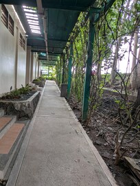 Paths are often surrounded by nature