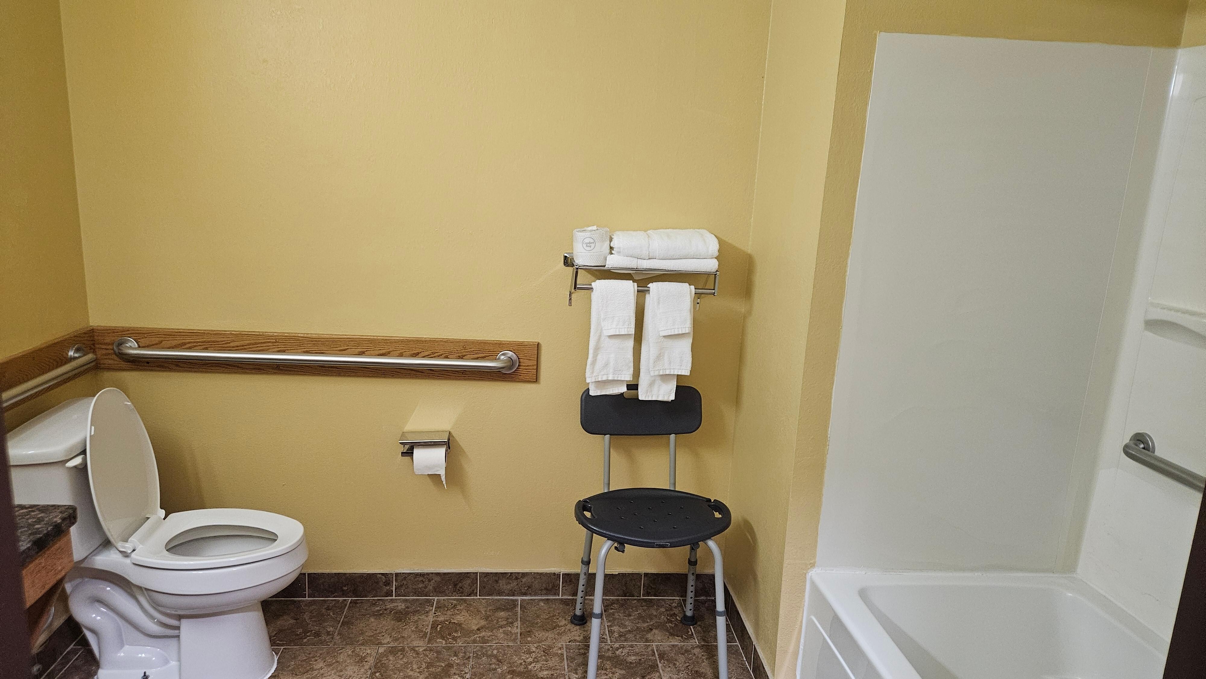 Accessible bathroom with shower chair & bars. 