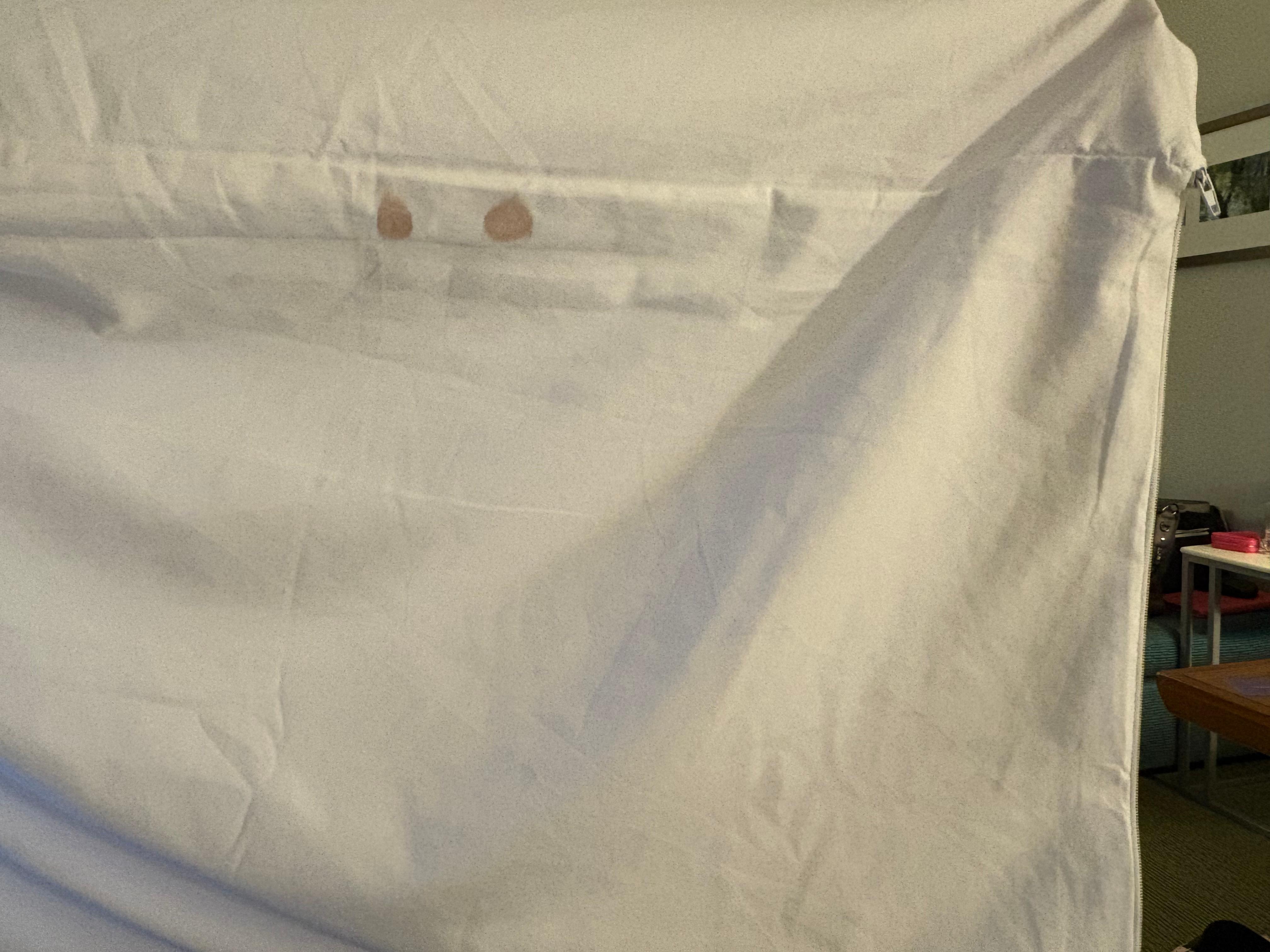 Found while changing pillowcases so had them change the protective cover too