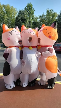 My sisters 50th Cat Lady Celebration!!