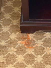 Paint in carpet floor