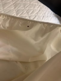 Bed bug