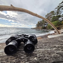 View from the beach!