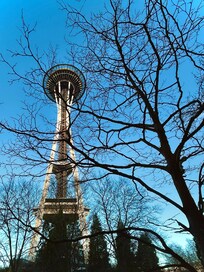 The view right outside of the hotel