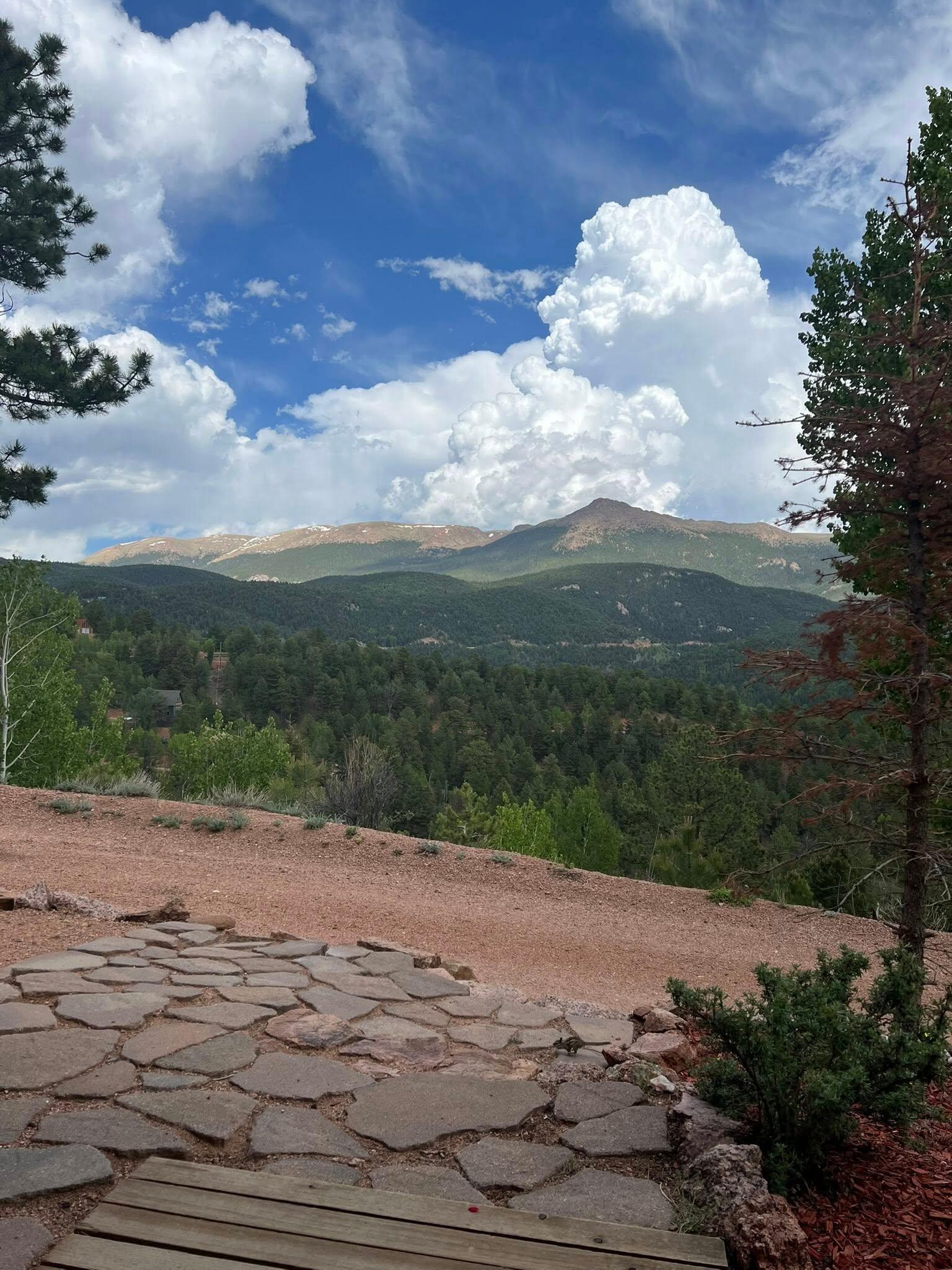 The incredible view from the front porch. We loved sitting outside with the chipmunks, especially to eat our breakfast and drink coffee in the mornings. 