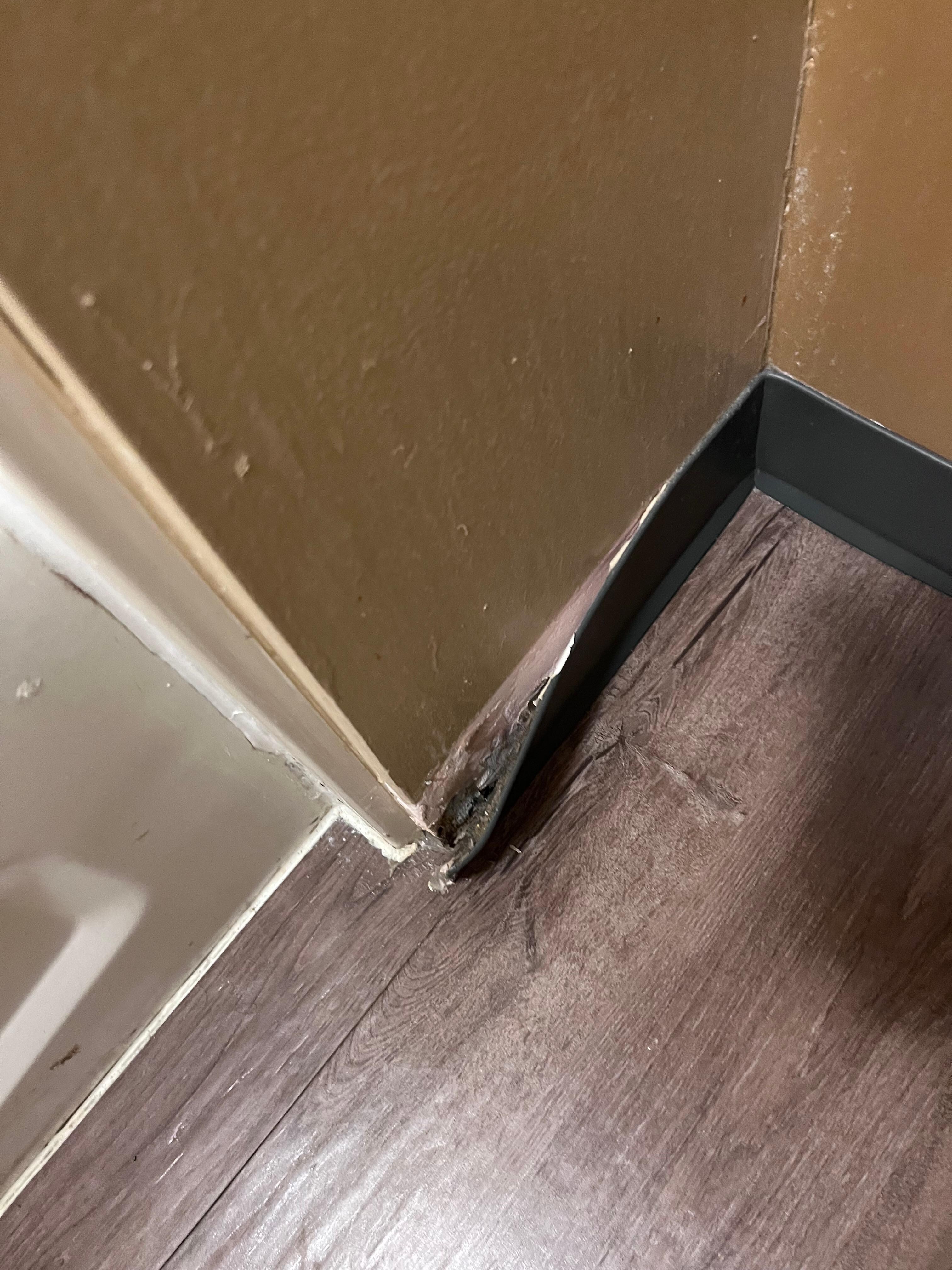 Trim falling off
