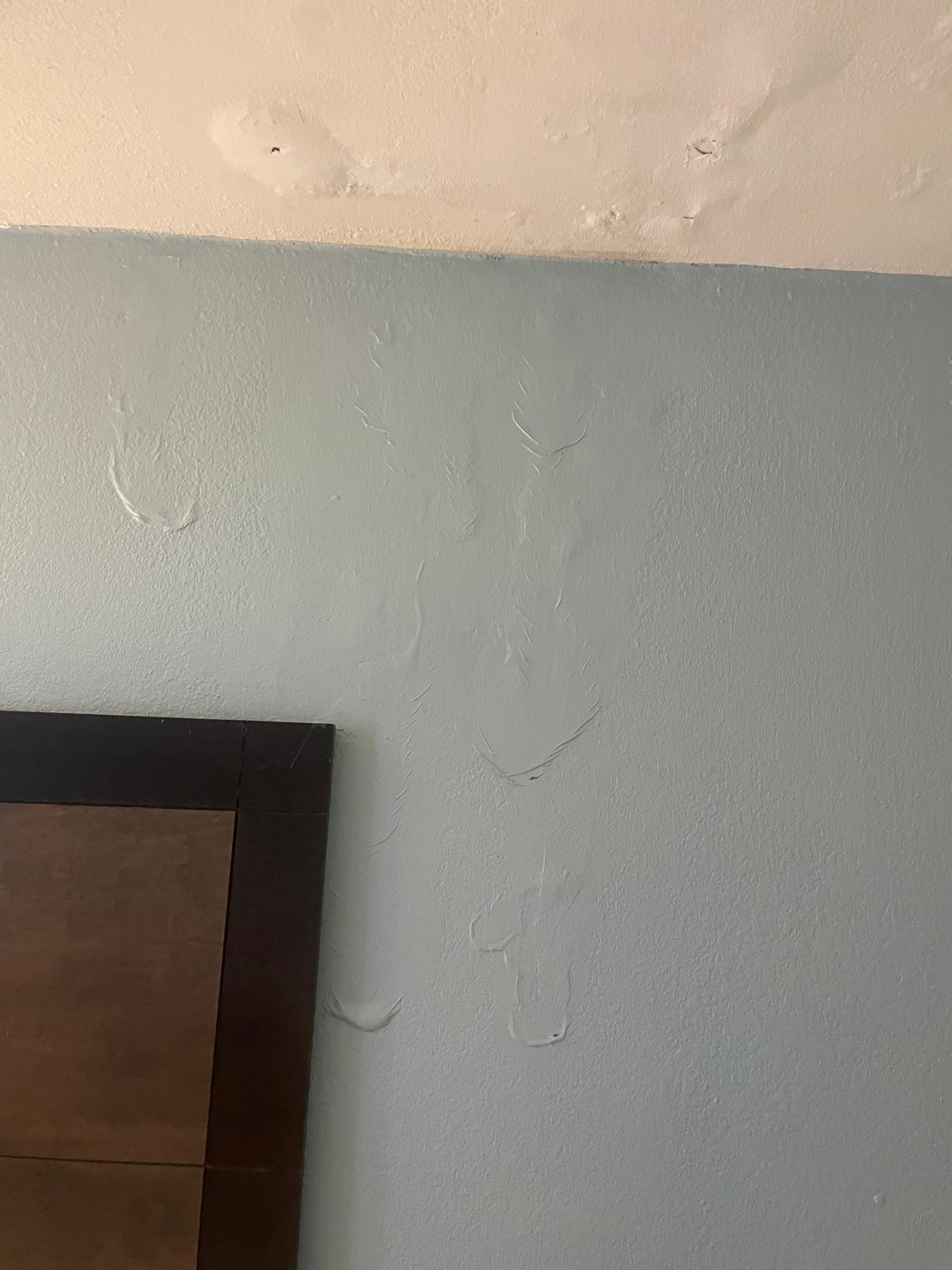 Water damage 
