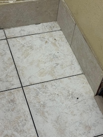 Random bugs and floor unswept.