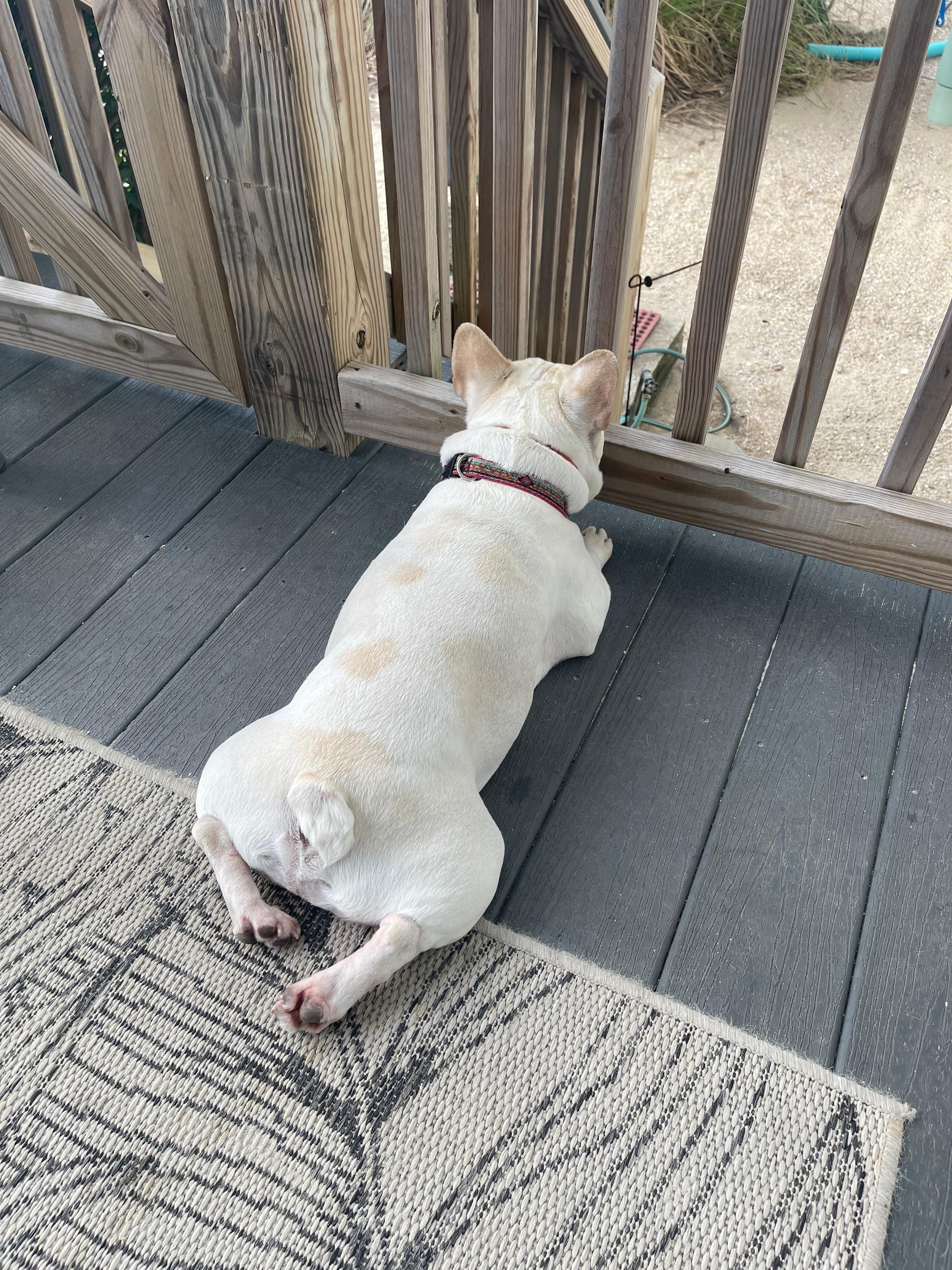 No better way to vacay than with your bestie 