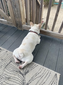 No better way to vacay than with your bestie