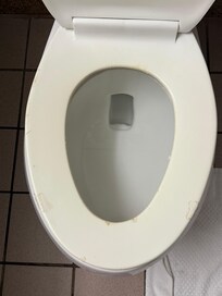 Toilet seat is awful but on a new toilet