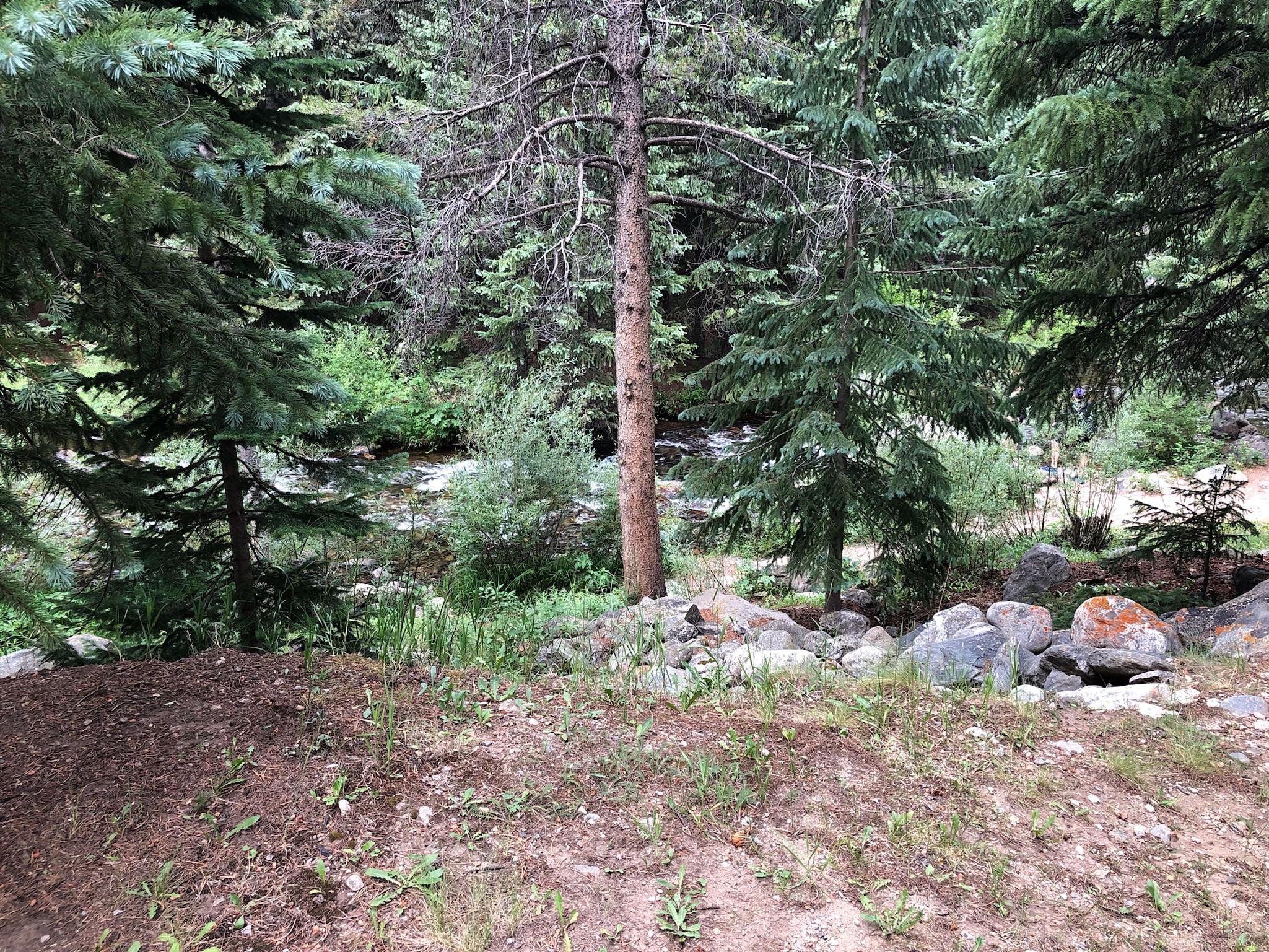 Blue River on property. 