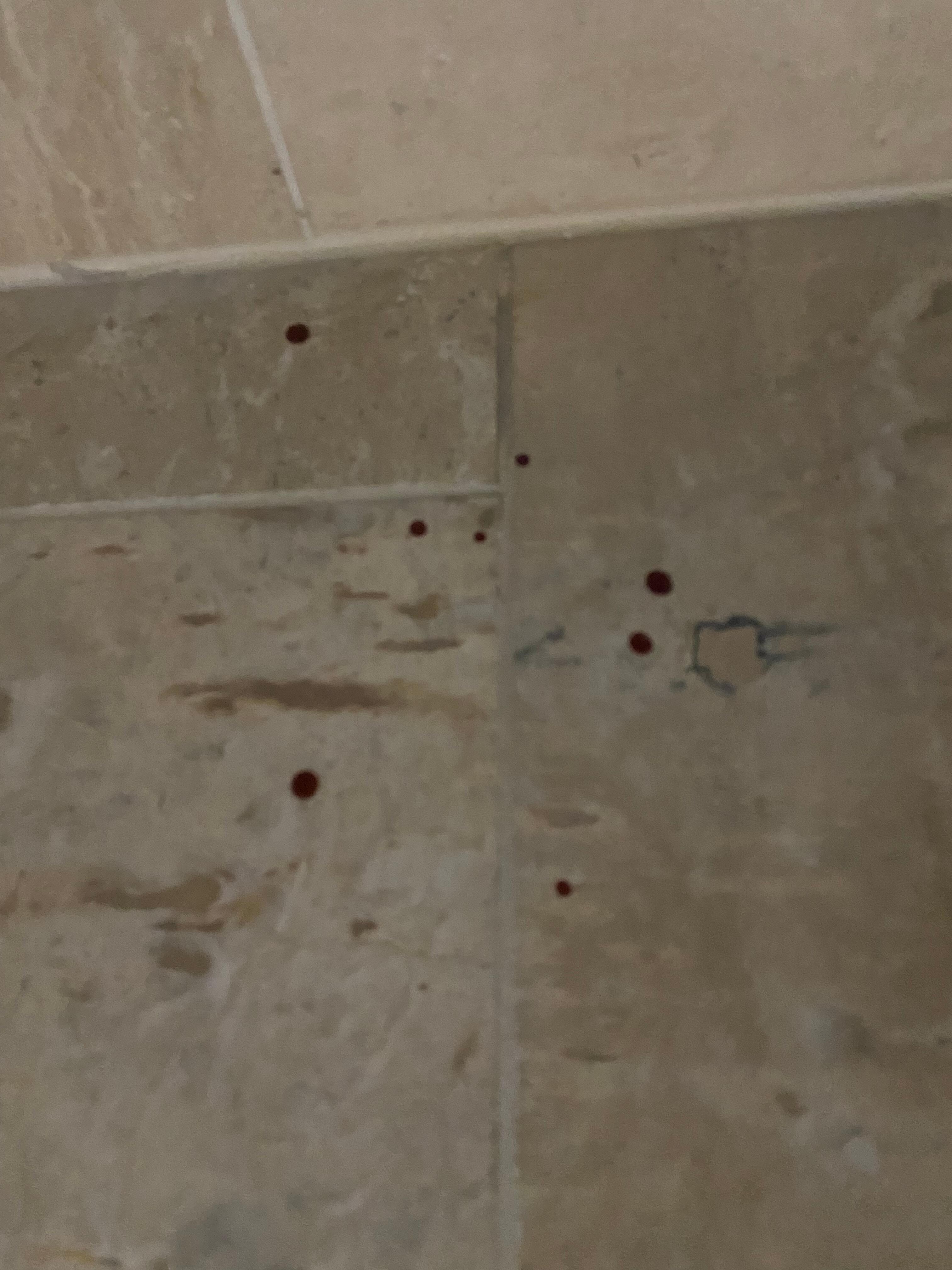 Blood on the floor in the bathroom 