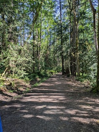 The trail nearby.