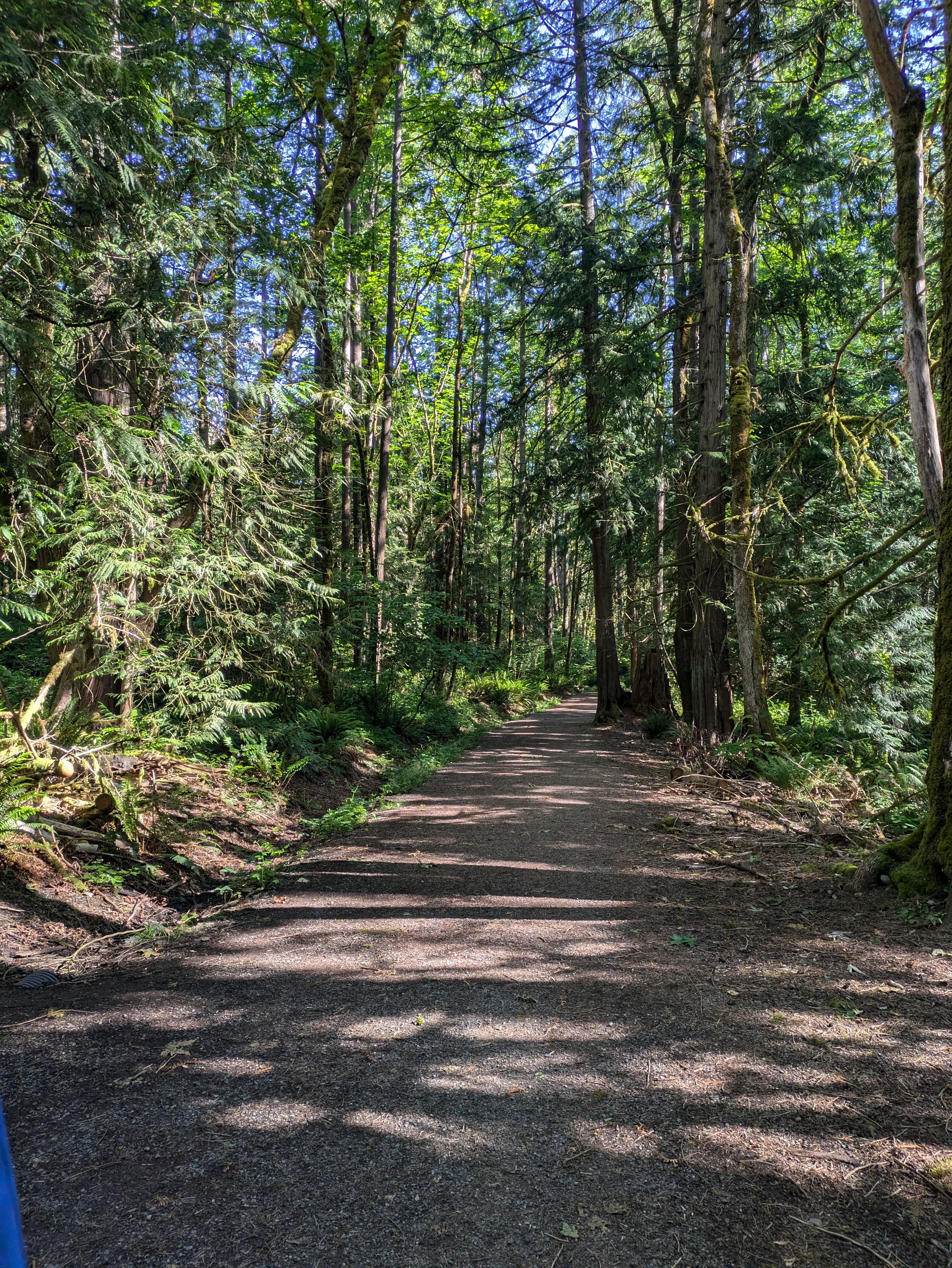 The trail nearby.