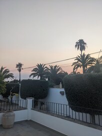 Sunset in the garden