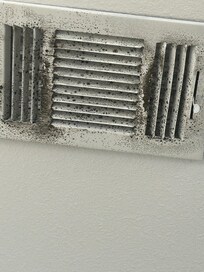 Mold on kitchen vent
