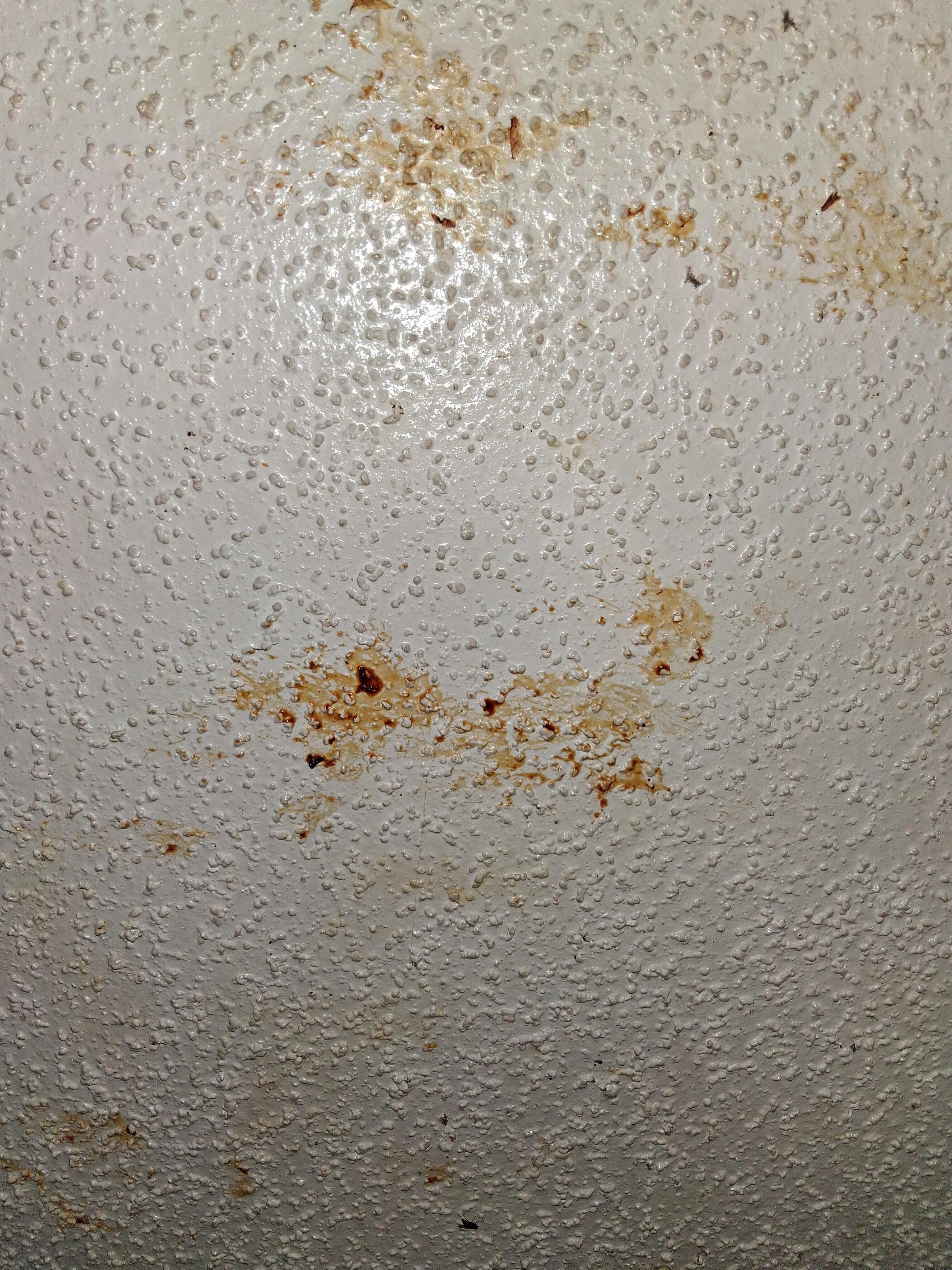 Ceiling 