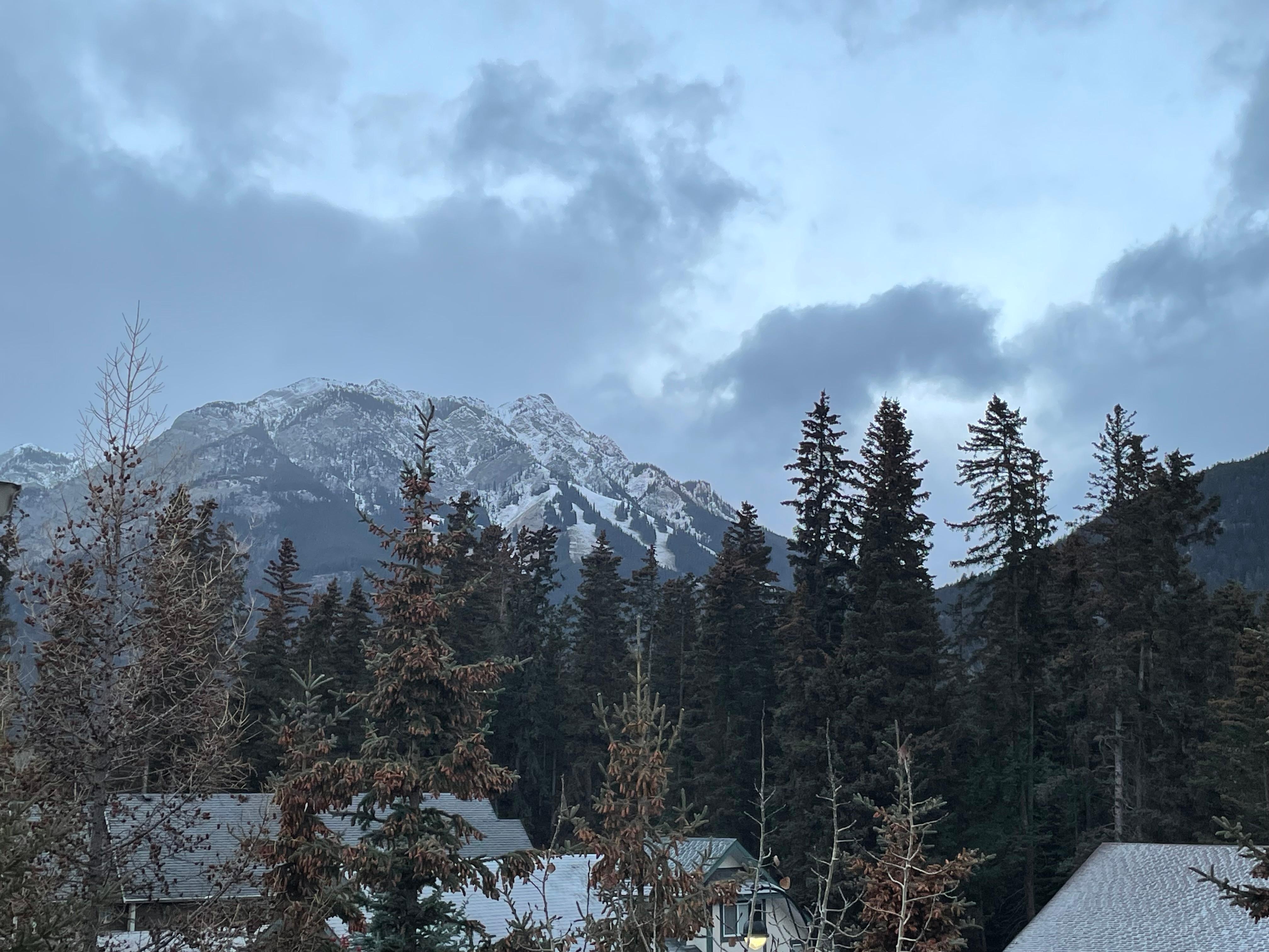 View from our Premium King Loft