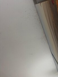 Black Mold on the ceiling. Room smelled like mildew