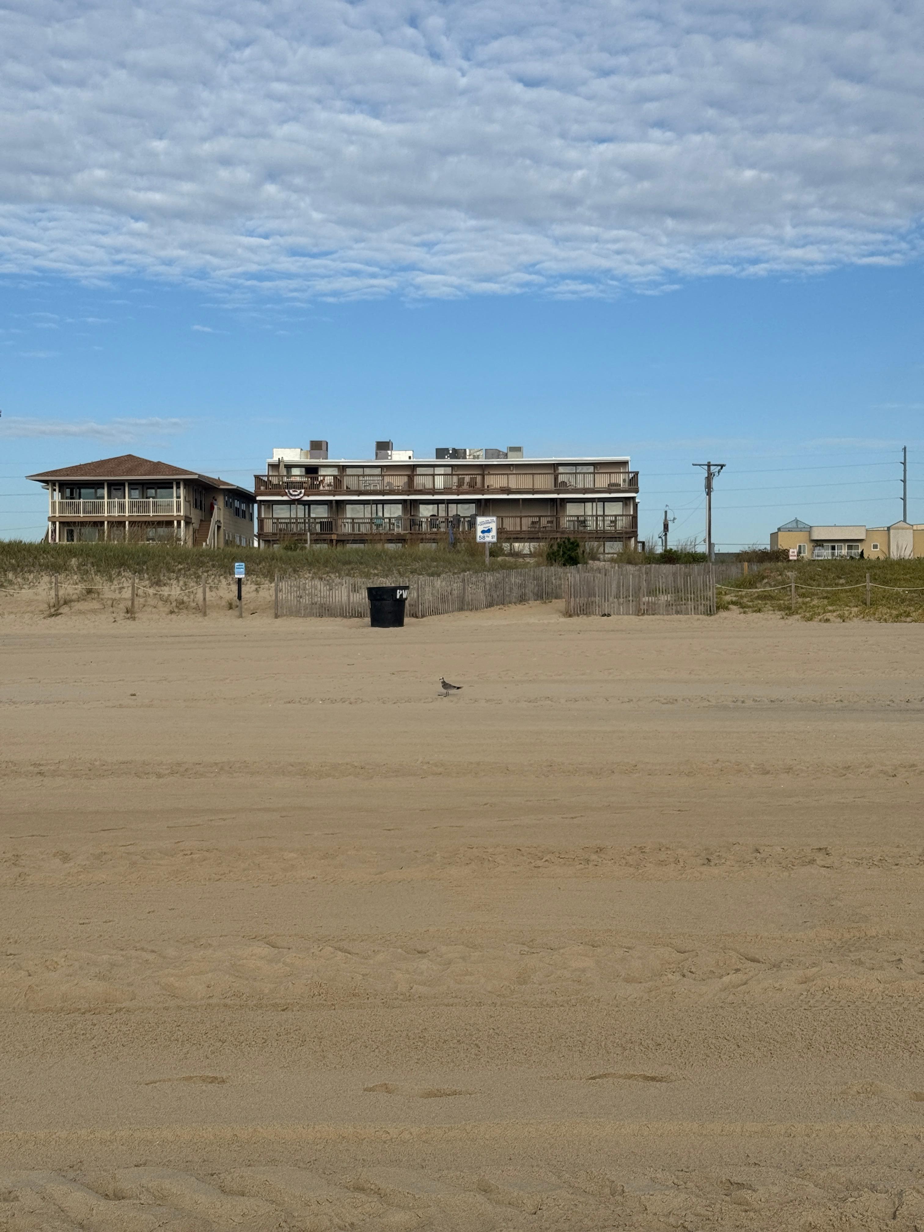 View from the beach💖