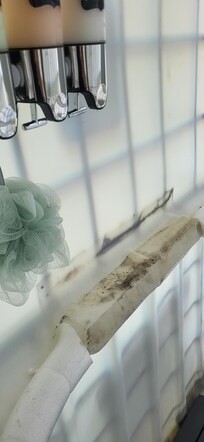 Not our luffa and mold, definitely not aluminum shower as pictured