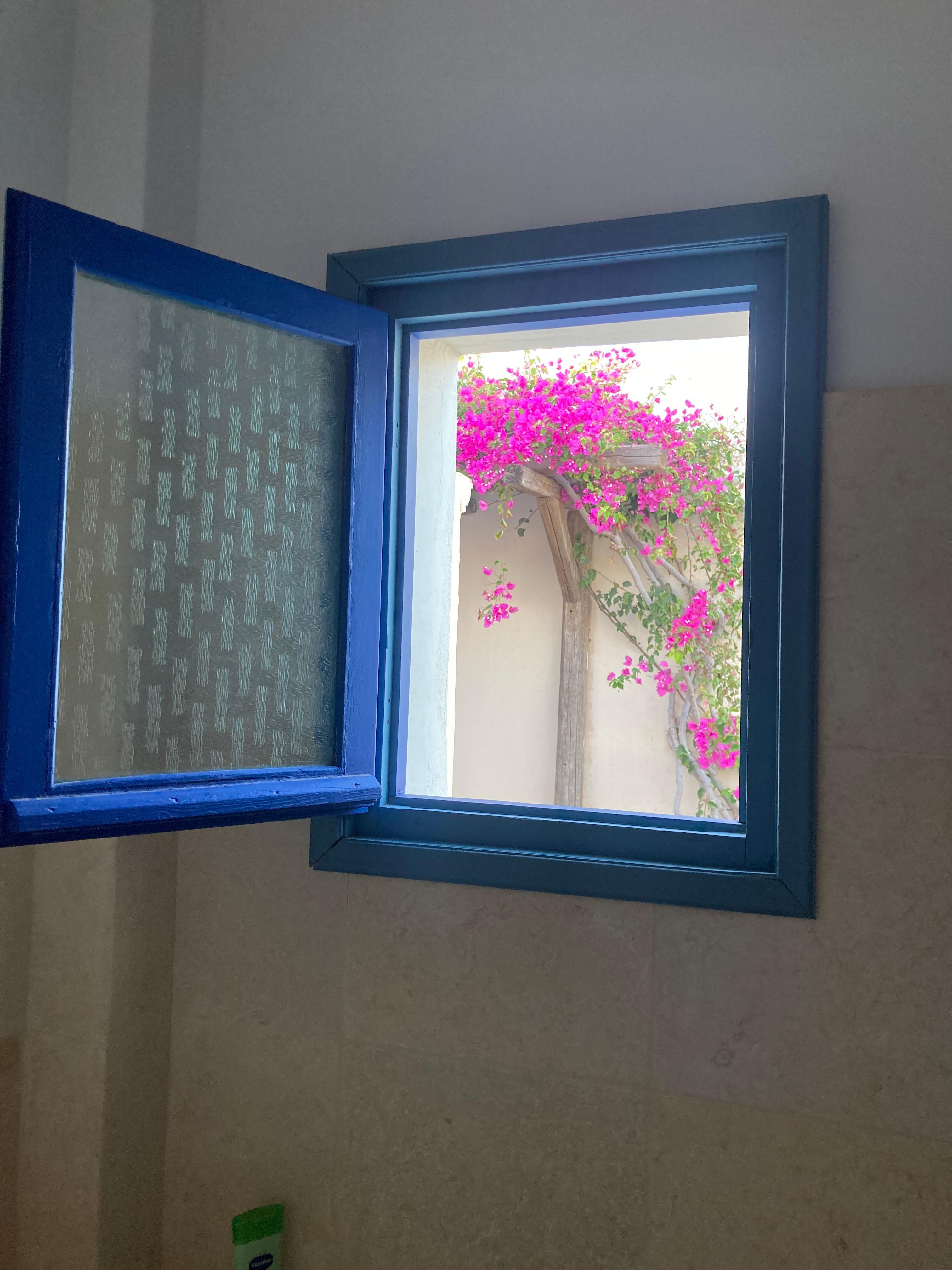 Bathroom window!