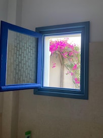 Bathroom window!
