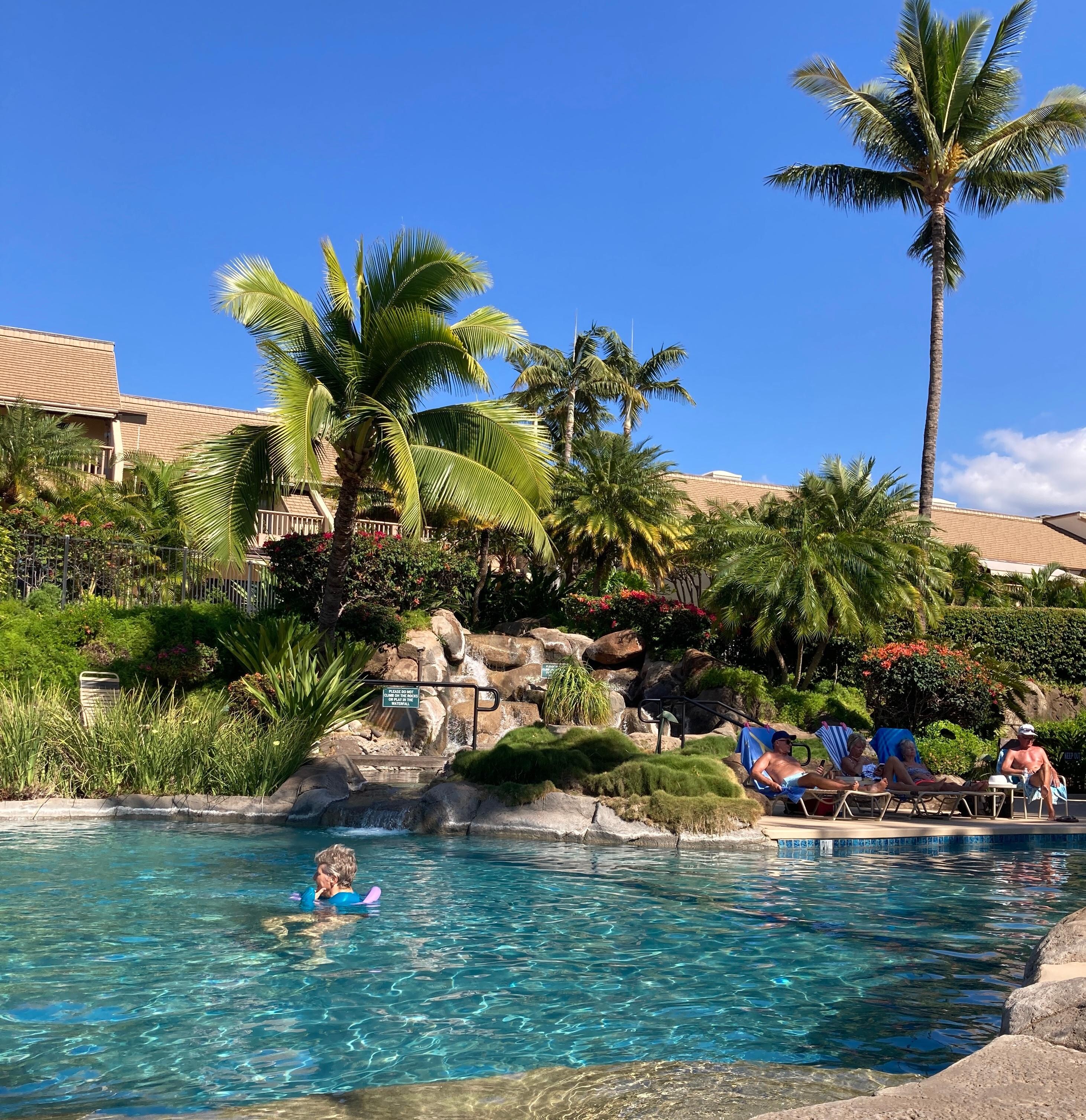 One of the swimming pools in the complex. 
